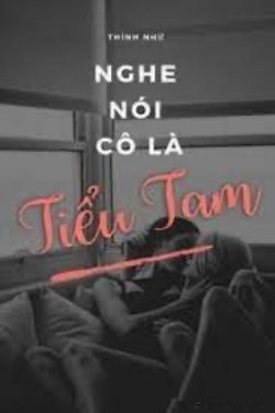 Bìa truyện Nghe Nói Ngươi Là Tiểu Tam - Thính Nhứ