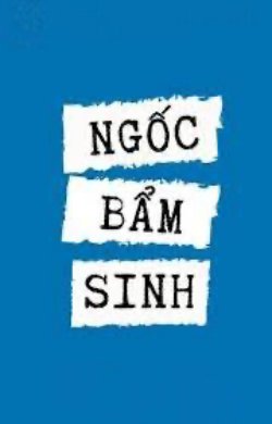 Bìa truyện Ngốc Bẩm Sinh