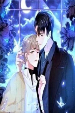 Bìa truyện Ngọn Đèn Tàn