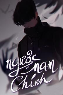 Bìa truyện Ngược Nam Chính