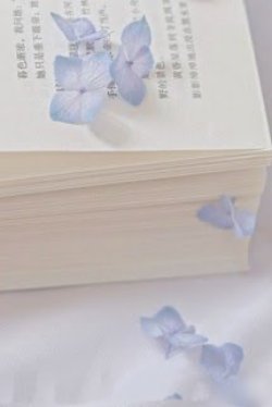 Bìa truyện Người Phán Xử - Zhihu