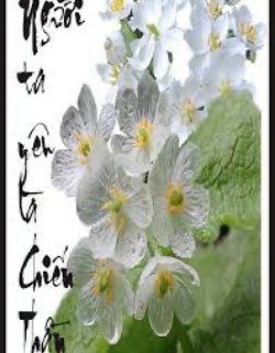 Bìa truyện Người Ta Yêu Là Chiến Thần