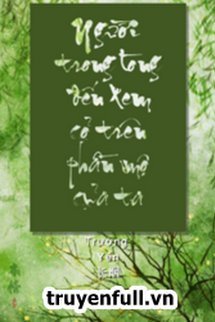 Bìa truyện Người Trong Lòng Đến Thăm Cỏ Trên Mộ Ta - Trường Yên