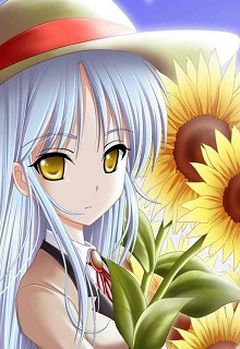 Bìa truyện Người Vô Tâm - Vân Tiên Khách