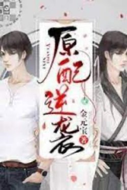 Bìa truyện Nguyên Phối Nghịch Tập - Kim Nguyên Bảo