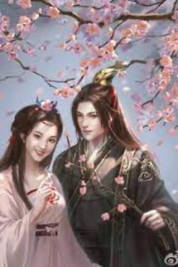 Bìa truyện Nguyệt Chiếu Lạc Hoa