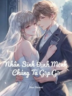 Bìa truyện Nhân Sinh Định Mệnh Chúng Ta Gặp Gỡ