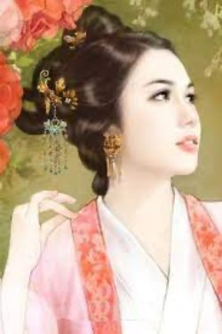 Bìa truyện Nhàn Vương Manh Phi