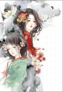 Bìa truyện Nhật Ký Xoay Người Ở Hậu Cung - Dạ Chi Dạ