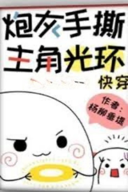 Bìa truyện Pháo Hôi Tay Xé Hào Quang Vai Chính - Dương Liêu Thùy Đê