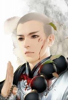 Bìa truyện Phật Môn Ác Thê - Kim Nguyên Bảo