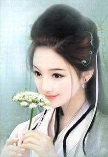 Bìa truyện Phù Dung Giang Hồ - Hoatuyettu