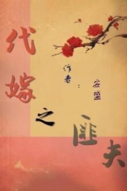 Bìa truyện Phu Gả Thay Của Đạo Tặc