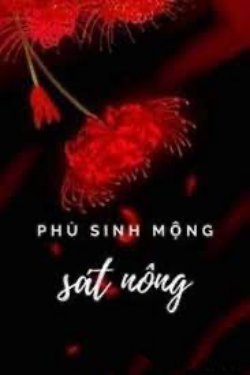 Bìa truyện Phù Sinh Mộng Sát Nông