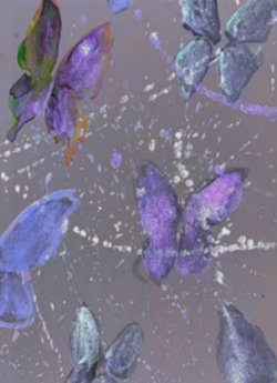 Bìa truyện Quan Âm Không Mắt - Zhihu