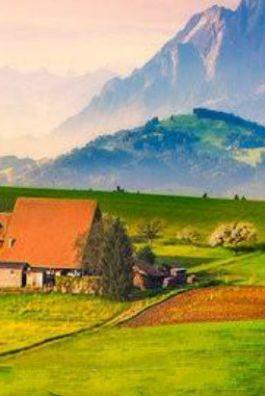 Bìa truyện Quân Kĩ - Thảo Thảo