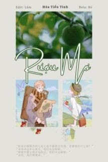 Bìa truyện Rượu Mơ - Hòa Tiểu Tinh