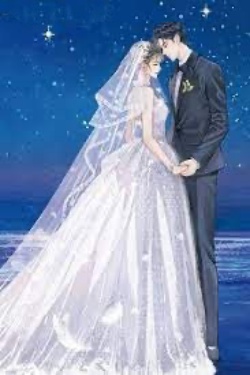 Bìa truyện Sao Trời Rơi Xuống