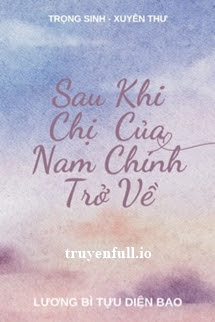 Bìa truyện Sau Khi Chị Của Nam Chính Trọng Sinh - Lương Bì Tựu Diện Bao