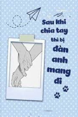 Bìa truyện Sau Khi Chia Tay Thì Bị Đàn Anh Mang Đi