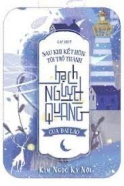 Bìa truyện Sau Khi Kết Hôn, Tôi Trở Thành Bạch Nguyệt Quang Của Đại Lão