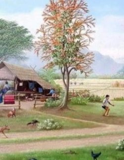 Bìa truyện Sau Khi Xuyên Thành Nữ Phụ Niên Đại Văn Tôi Giàu Lên Nhờ Mỹ Thực - Triều Sinh Tịch Nhập