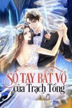 Bìa truyện Sổ Tay Bắt Vợ Của Trạch Tổng
