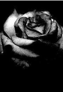 Bìa truyện Sơn Trung Tiểu Ốc - Hắc Sắc Địa Bản