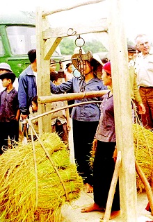 Bìa truyện Sống Lại Những Năm 1986 - Vô Danh Nguyệt Sắc