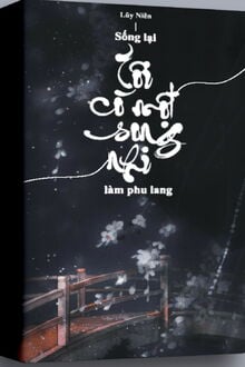Bìa truyện Sống Lại Tôi Có Một Song Nhi Làm Phu Lang