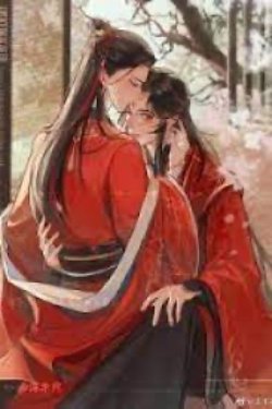 Bìa truyện Sư Huynh, Xin Hãy Đứng Yên - Đạm Anh