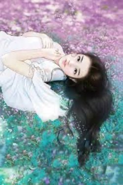 Bìa truyện Sự Nhầm Lẫn Diệu Kì