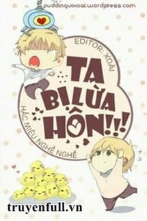 Bìa truyện Ta Bị Lừa Hôn!!! - Hắc Miêu Nghễ Nghễ