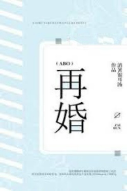Bìa truyện Tái Hôn - Tiêu Thử Ngân Nhĩ Thang
