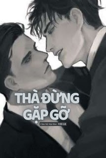 Bìa truyện Thà Đừng Gặp Gỡ (Đam Mỹ) - Khuyết Danh
