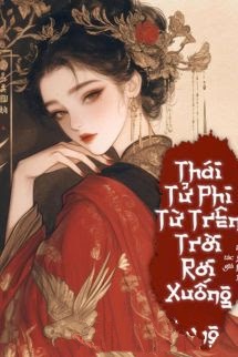 Bìa truyện Thái Tử Phi Từ Trên Trời Rơi Xuống - Phôc Thông Lý Ngư
