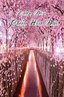Bìa truyện Thắp Đèn Chiếu Hoa Đào - Hoài Thượng