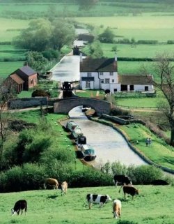 Bìa truyện Thập Niên 70 Quần Chúng Ăn Dưa Tự Mình Tu Dưỡng