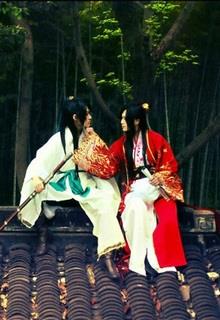 Bìa truyện Thâu Long Hoán Phụng - Tiêu