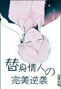 Bìa truyện Thế Thân Tình Nhân Đích Hoàn Mỹ Nghịch Tập - Bạch Dạ Vị Minh