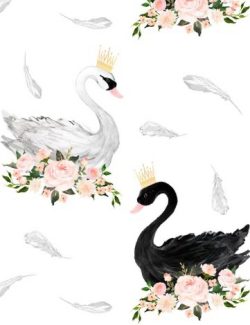 Bìa truyện Thiên Nga Trắng Và Ông Xã Tâm Cơ Của Cậu Ấy - Trương Đại Cát