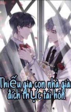 Bìa truyện Thiếu Gia Con Nhà Giàu Đích Thực Tái Hôn - Quất Tử Chu
