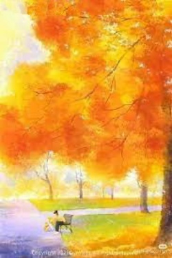 Bìa truyện Thư Tình Mùa Hạ - Zhihu