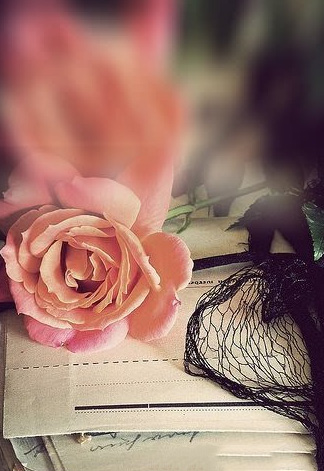 Bìa truyện Tiếng Tỳ Bà Kinh Động Lướt Qua Căn Phòng - Cao Đài Thụ Sắc