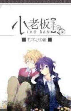Bìa truyện Tiểu Lão Bản - Hủ Mộc Điêu Dã