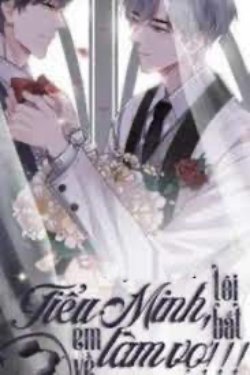 Bìa truyện Tiểu Minh, Tôi Bắt Em Về Làm Vợ !!!