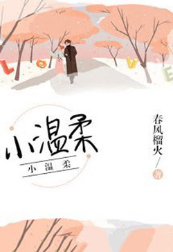 Bìa truyện Tiểu Ôn Nhu - Xuân Phong Lựu Hỏa