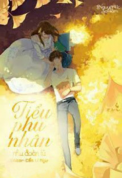 Bìa truyện Tiểu Phu Nhân - Nhu Đoàn Tử