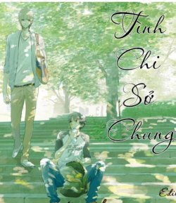 Bìa truyện Tình Chi Sở Chung - Bán Trản Minh Hương