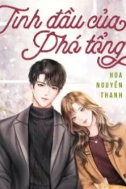 Bìa truyện Tình Đầu Của Phó Tổng